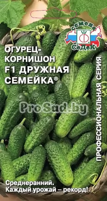 Огурец-корнишон F1 Дружная семейка