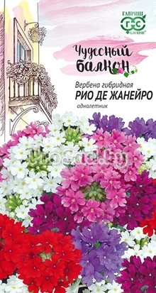 Вербена низкая Рио де Жанейро, смесь