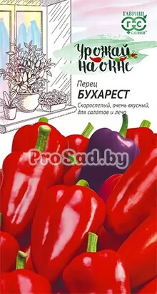 Перец Бухарест (балконный)