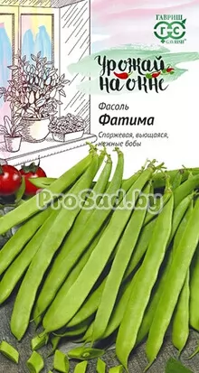 Фасоль спаржевая Фатима