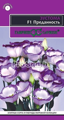 Эустома F1 Преданность
