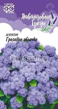 Агератум Грозовое облачко