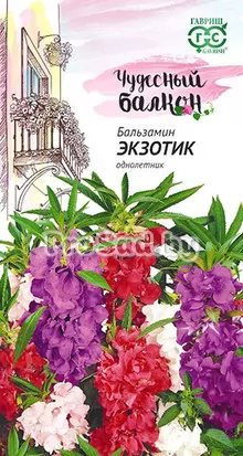 Бальзамин карликовый Экзотик, смесь