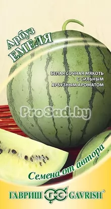 Арбуз Емеля