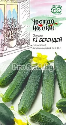 Огурец F1 Берендей
