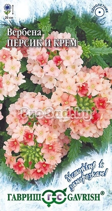 Вербена Персик и крем