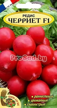 Редис F1 Черриет (Франция)