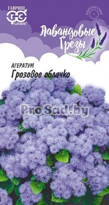 Агератум Грозовое облачко