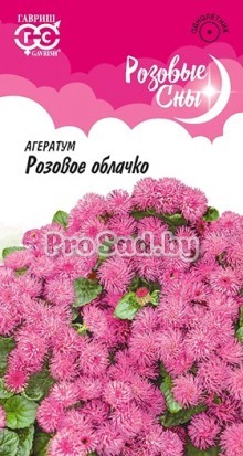 Агератум Розовое облачко