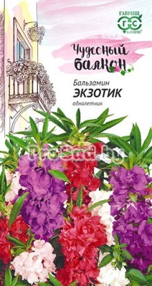 Бальзамин карликовый Экзотик, смесь