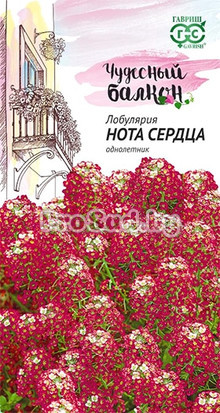 Лобулярия Нота сердца