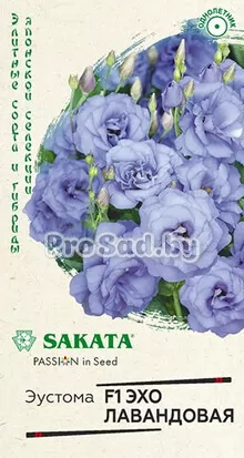 Эустома (Лизиантус) F1 Эхо лавандовая