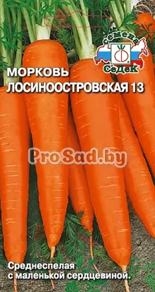 Морковь Лосиноостровская 13