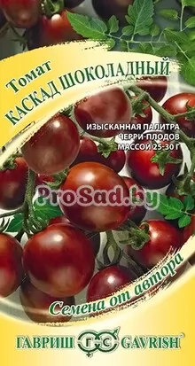Томат Каскад шоколадный