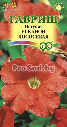 Петуния многоцветковая F1 Канон Лососевая