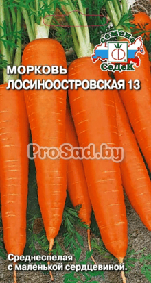 Морковь Лосиноостровская 13