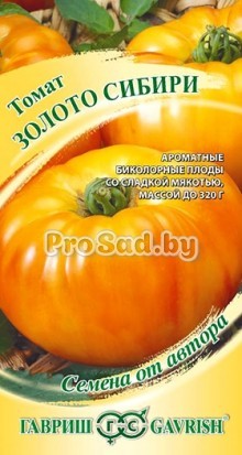 Томат Золото Сибири