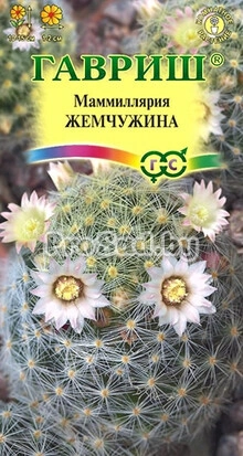 Маммиллярия Жемчужина