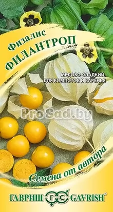 Физалис Филантроп