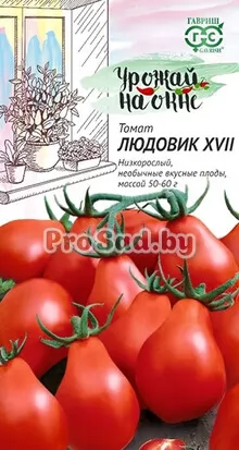 Томат Людовик XVII