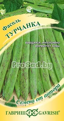 Фасоль спаржевая Турчанка