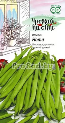 Фасоль спаржевая Нота