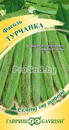 Фасоль спаржевая Турчанка