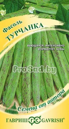 Фасоль спаржевая Турчанка