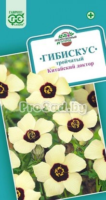Гибискус тройчатый Китайский доктор