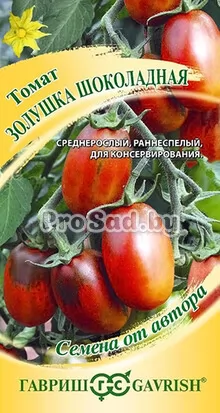 Томат Золушка шоколадная