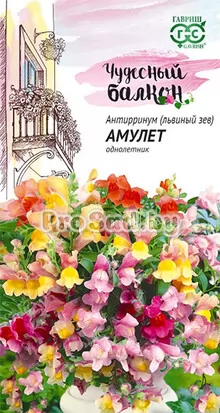 Львиный зев ампельный Амулет