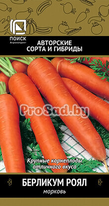 Морковь Берликум Роял
