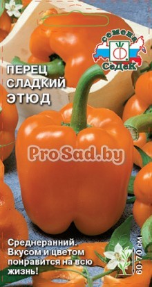 Перец сладкий Этюд