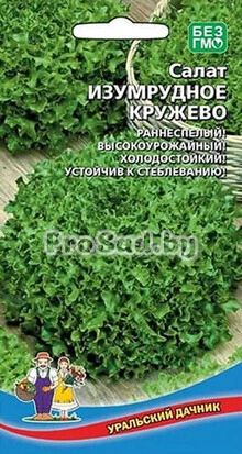 Салат Изумрудное кружево