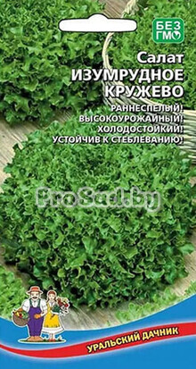 Салат Изумрудное кружево