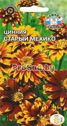 Цинния Старый Мехико