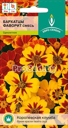 Бархатцы отклонённые Фаворит, смесь