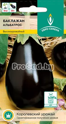 Баклажан Альбатрос