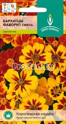 Бархатцы отклонённые Фаворит, смесь