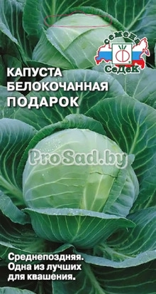 Капуста белокочанная Подарок
