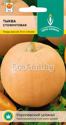 Тыква Стофунтовая