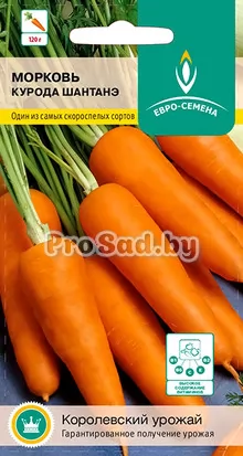 Морковь Курода Шантанэ (Япония)