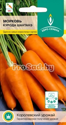 Морковь Курода Шантанэ (Япония)