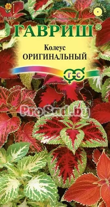 Колеус Блюме Оригинальный, смесь