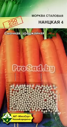 Морковь столовая Нантская 4 (драже) (Германия)