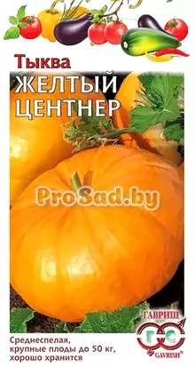 Тыква Жёлтый центнер