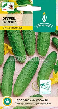 Огурец F1 Гепард