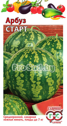 Арбуз Старт