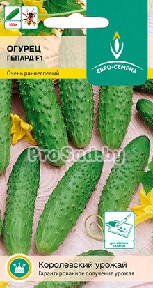 Огурец F1 Гепард