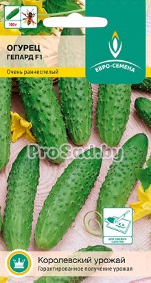 Огурец F1 Гепард